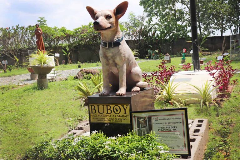 ‘Buboy’ the Pinoy Hachiko immortalized in statue