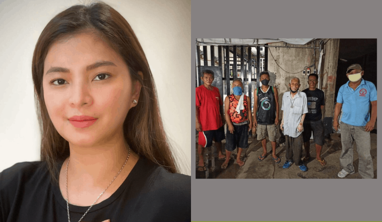 Angel Locsin appeals for ‘puso and consideration’ for arrested jeepney drivers