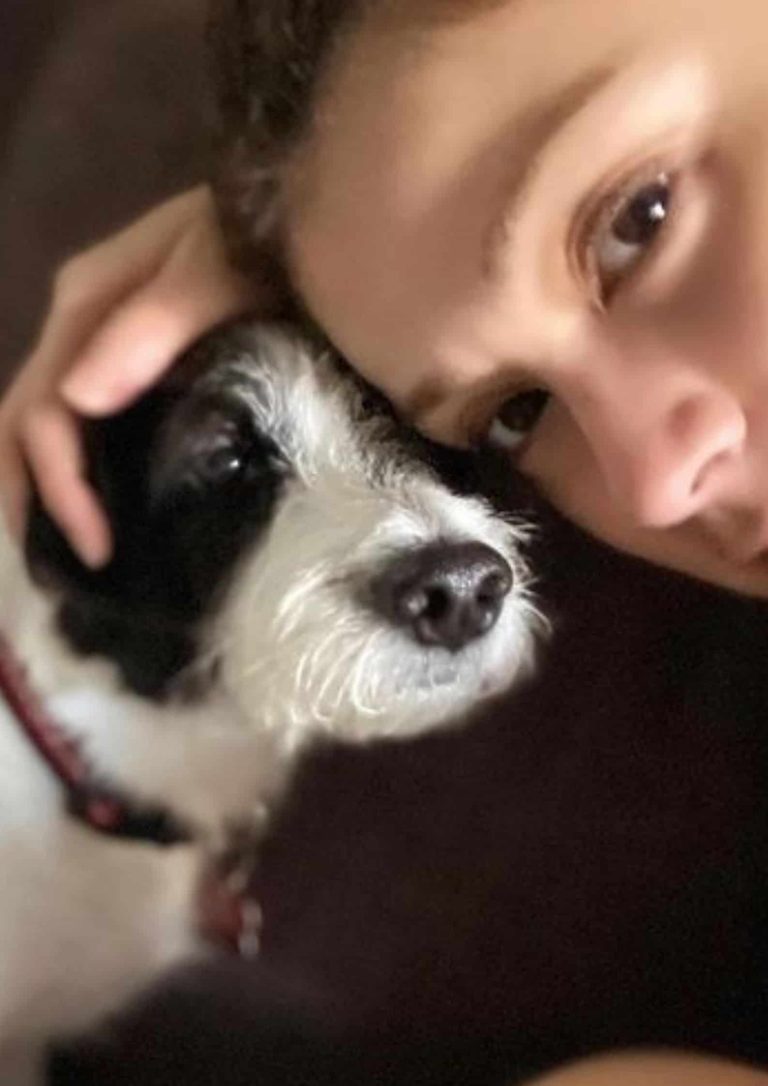 Carla Abellana heartbroken over loss of adopted furbaby after saving another furparent’s dog