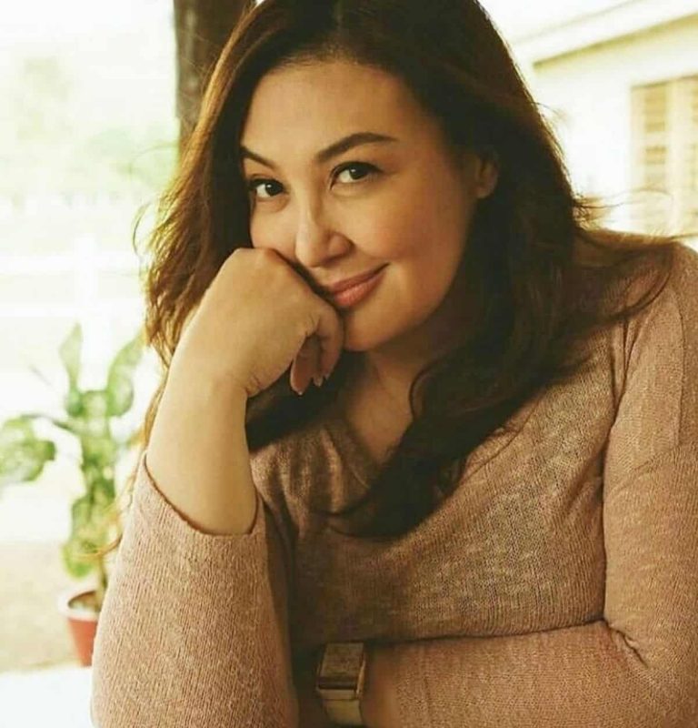 Sharon Cuneta receives cutest surprise from Judy Ann Santos