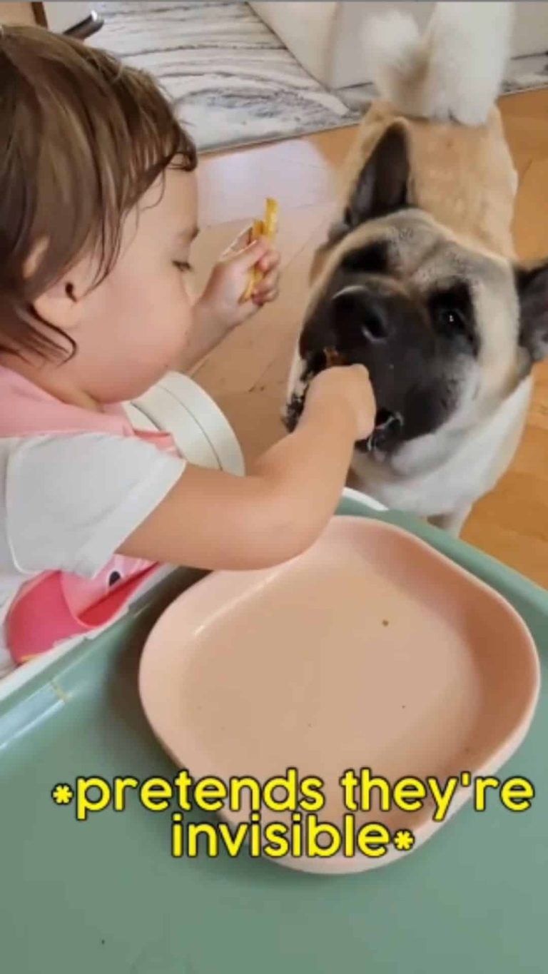 WATCH: Baby Thylane imitates pet dog Pochola in adorable video