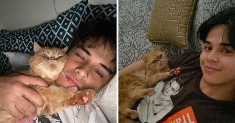 ‘My heart is shattered’: Khalil Ramos mourns sudden passing of pet cat