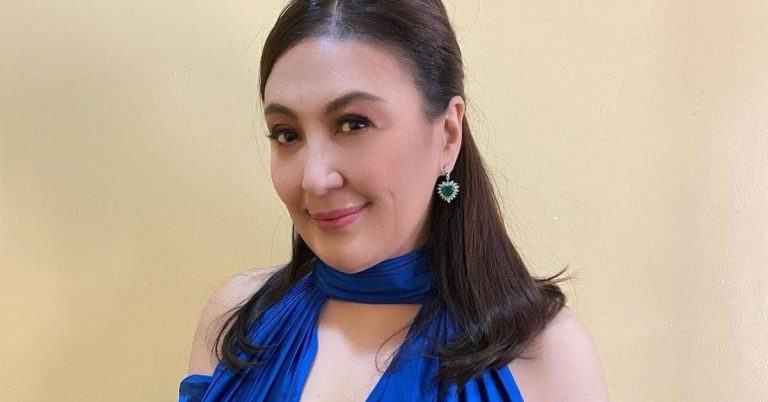 Sharon Cuneta asks for prayers as family members go through ‘game called politics’