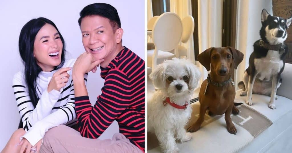 Heart Evangelista’s furbabies get lecture from Chiz Escudero
