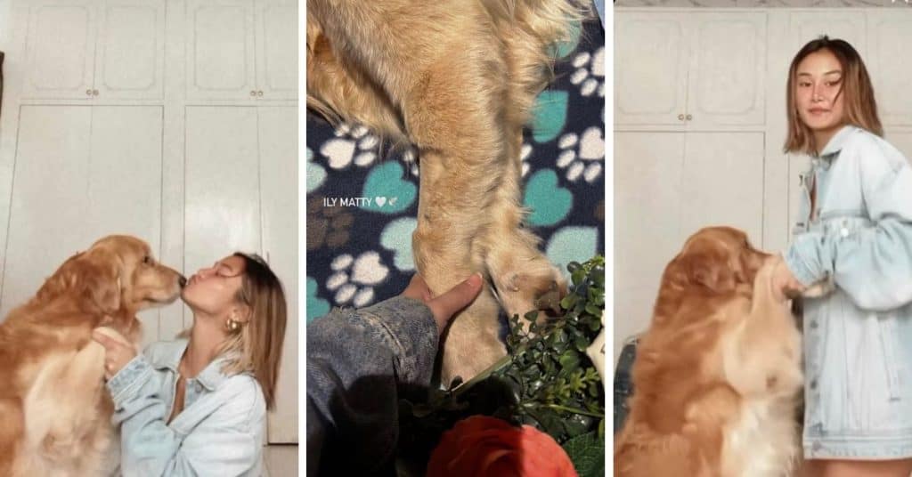 Chie Filomeno grieves over death of furbaby on International Dog Day