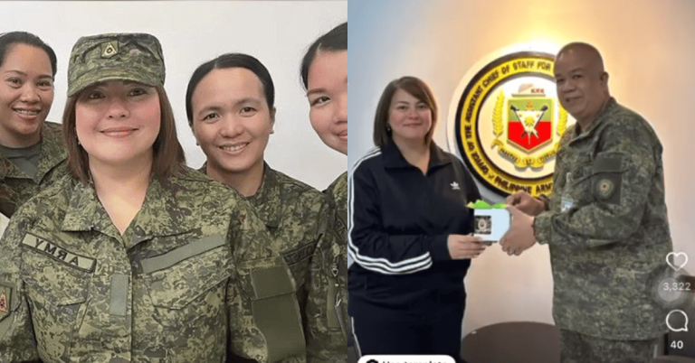 Netizens poke fun at Karla Estrada’s ‘NPA’ post