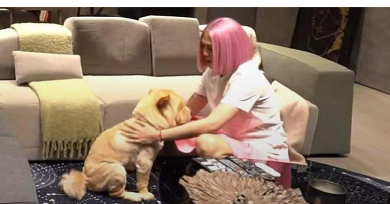 Vice Ganda mourns loss of first ‘baby’