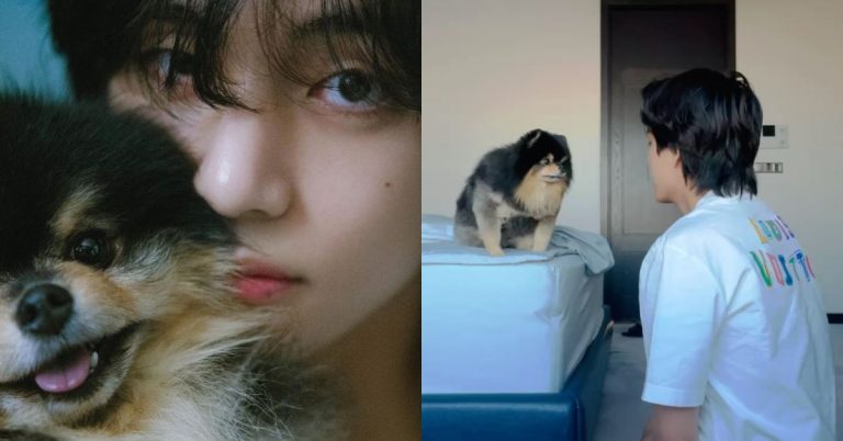 BTS member V mourns death of pet dog Yeontan